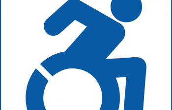29 de mayo "Día Nacional de la Persona con Discapacidad"-cápsula inf. N° 1