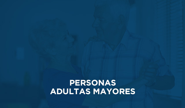 Subcomisión de Personas Adultas Mayores